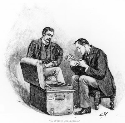 Una colección curiosa, ilustración de 